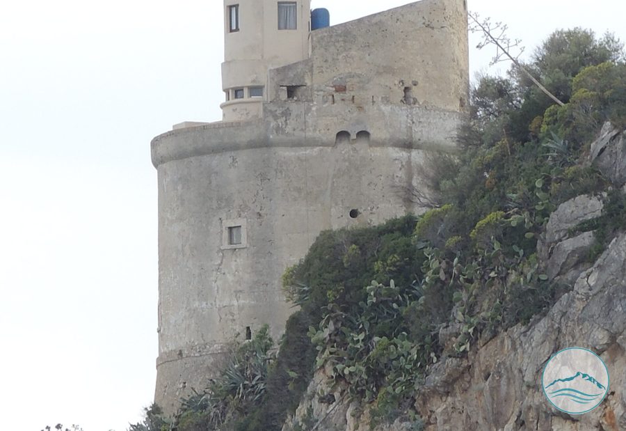 Torre Fico