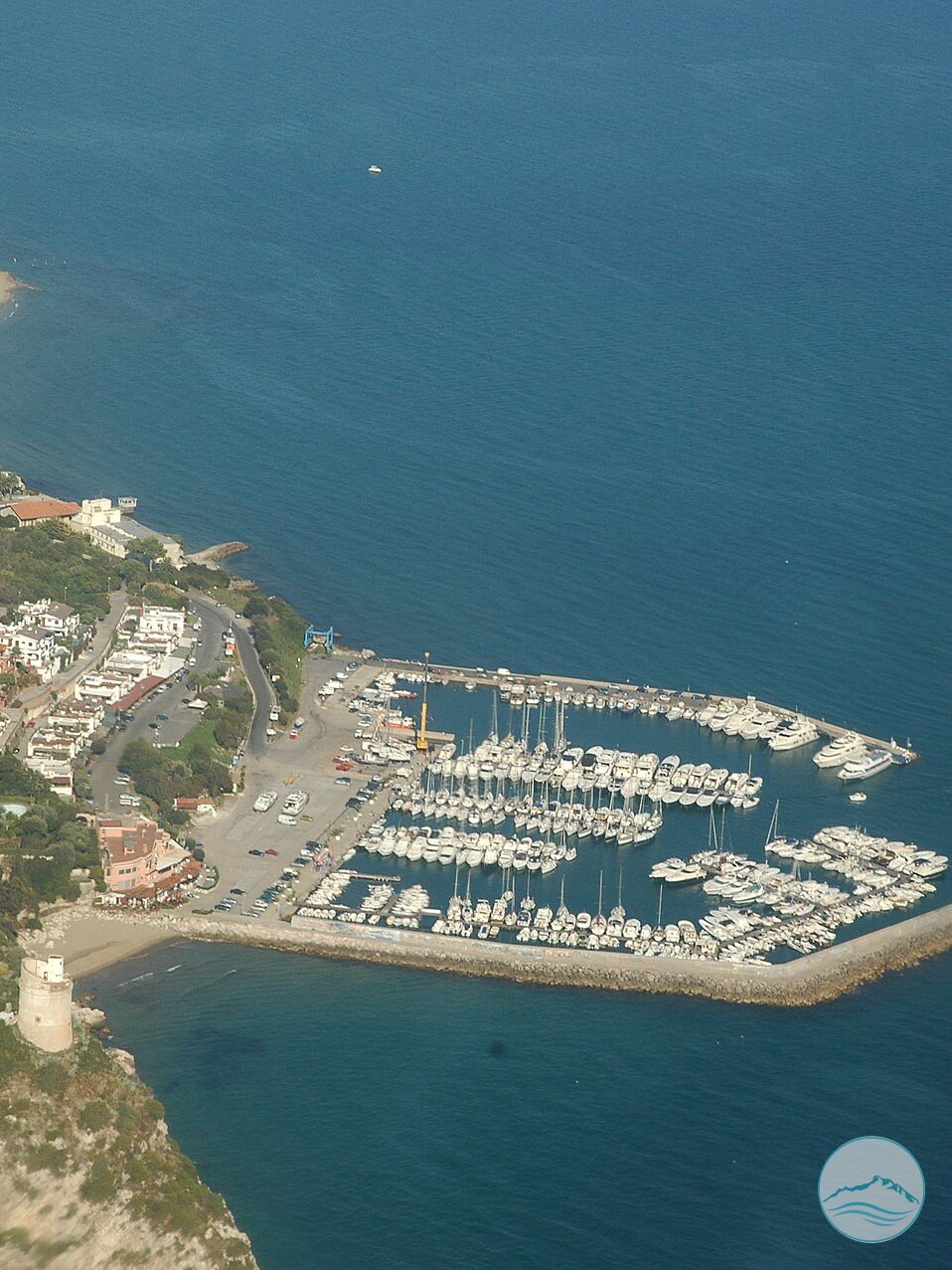 Fête du poisson bleu