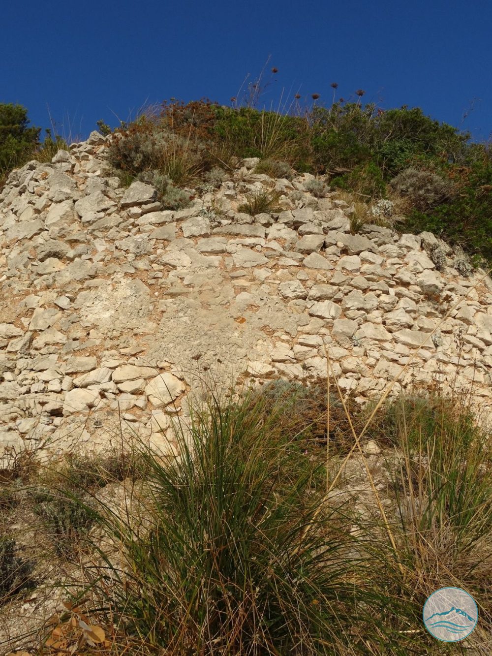 Torre Moresca (Falconara)