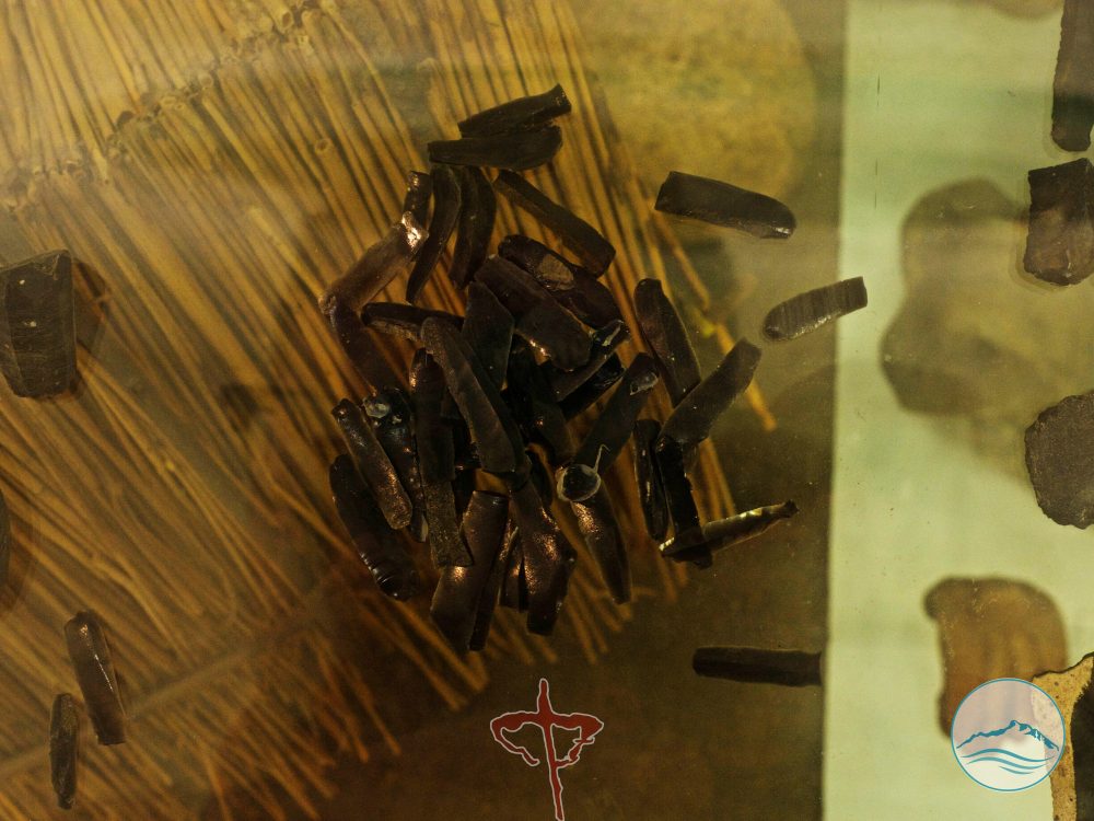 Museo civico  del Mare e della Costa Marcello Zei