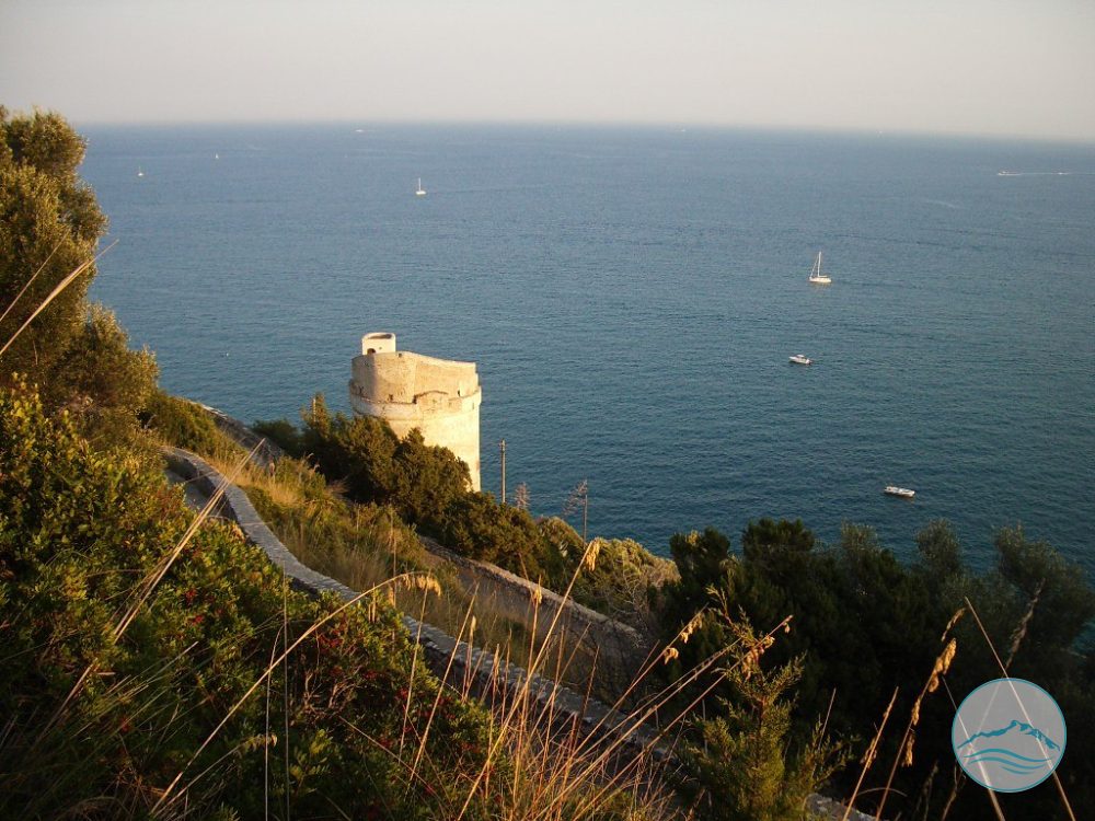 Torre Fico