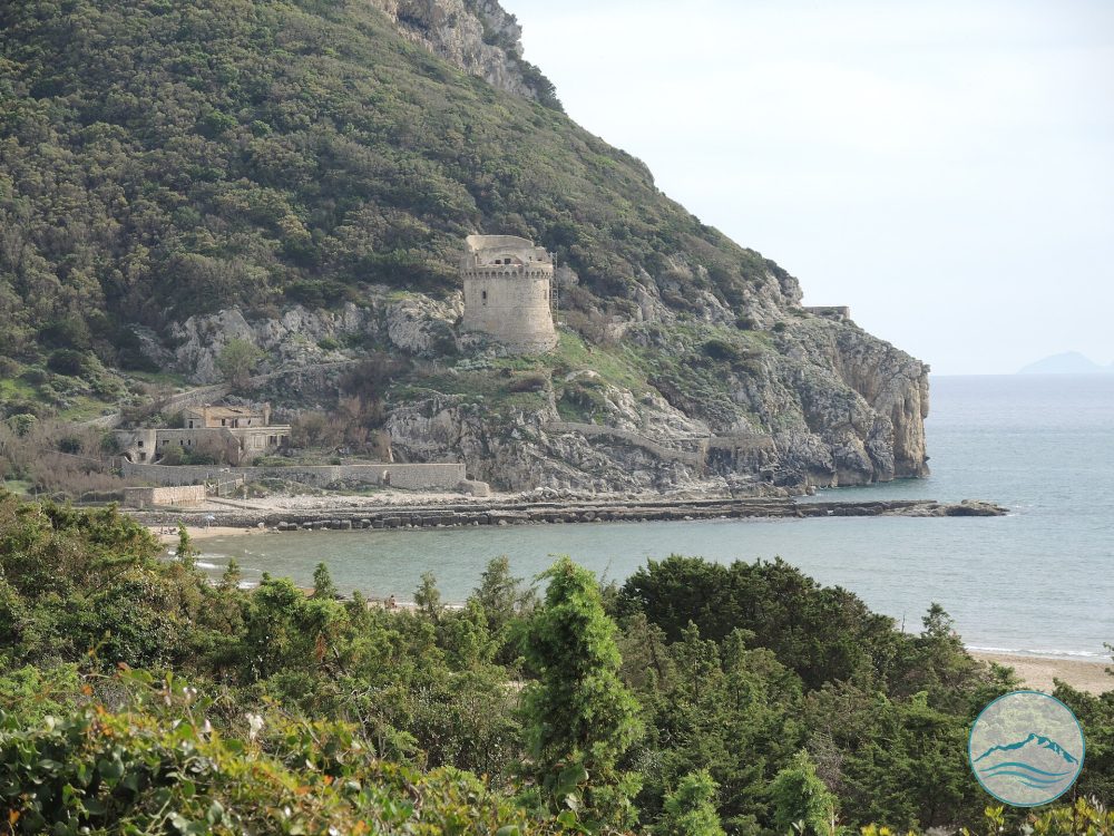 Torre Paola