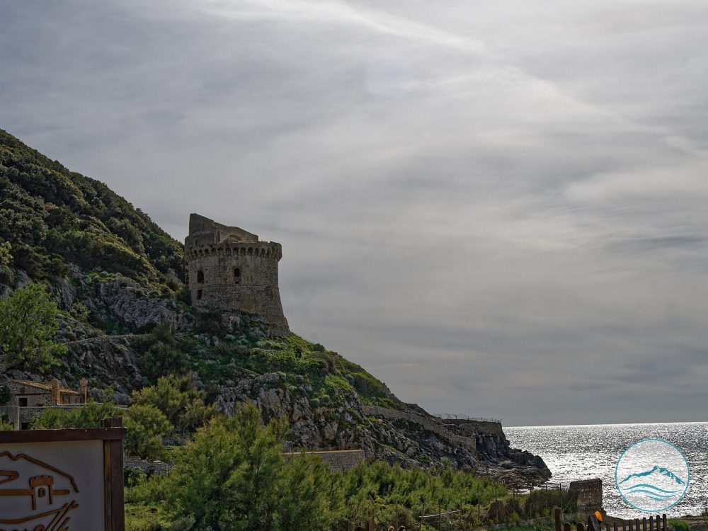 Torre Paola