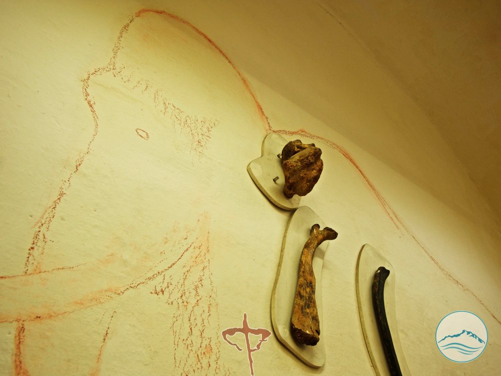 Museo civico  del Mare e della Costa Marcello Zei