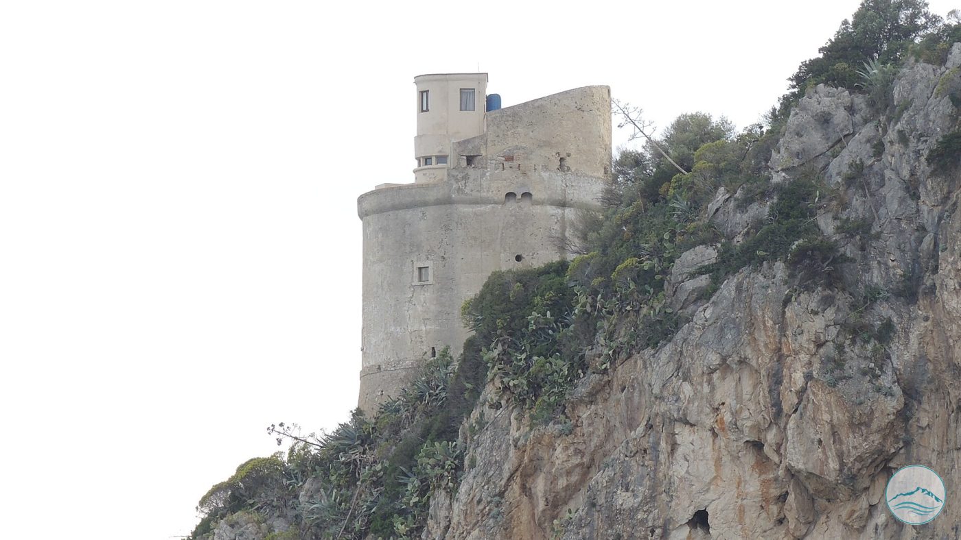 Torre Fico